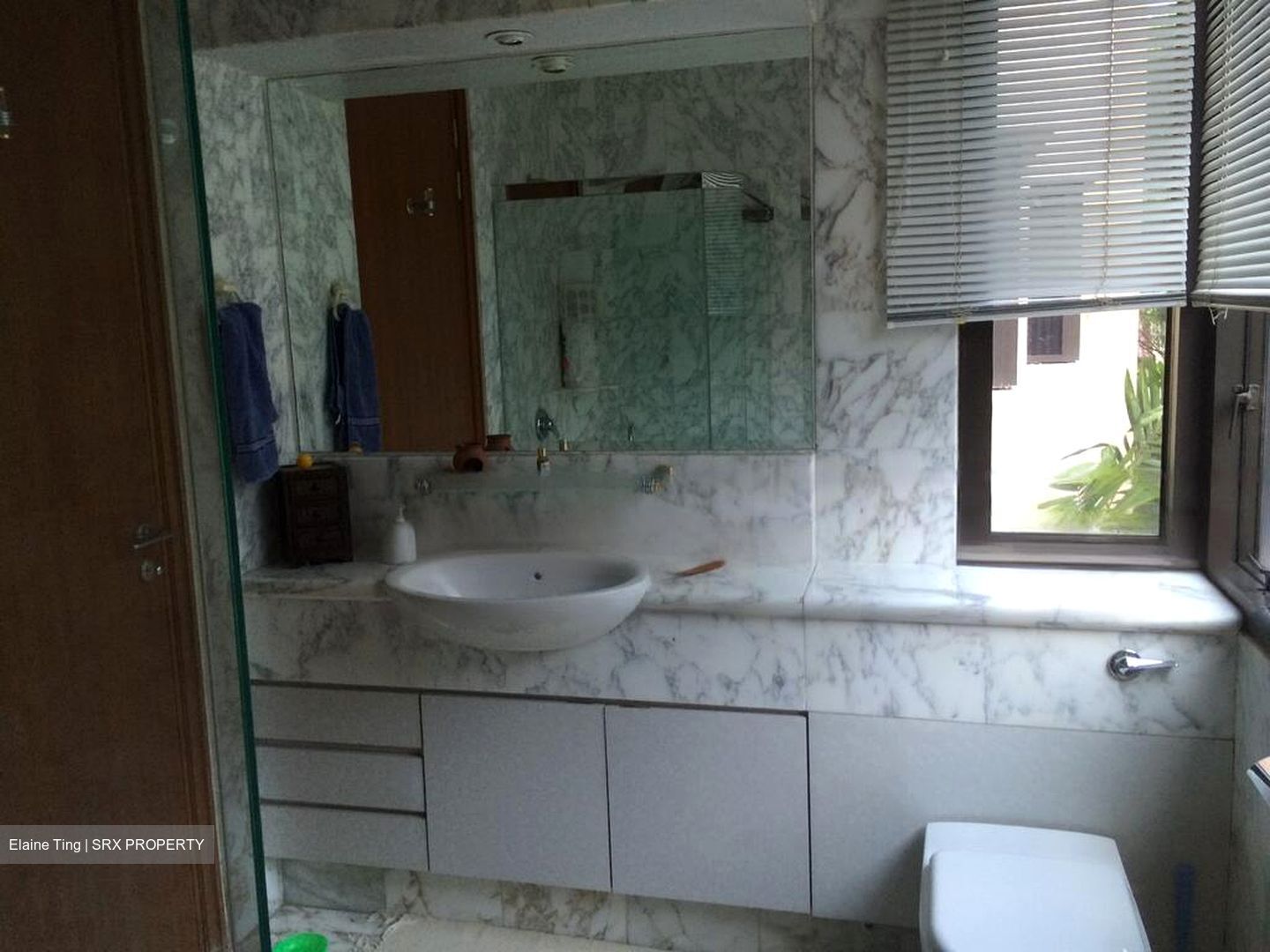 Four Seasons Park (D10), Condominium #549386571